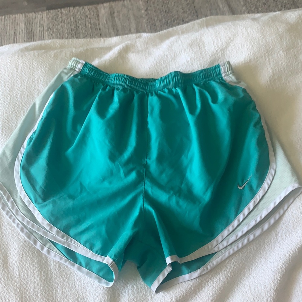 Nike Dri-fit track shorts